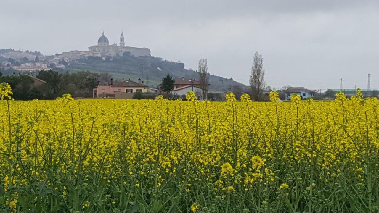 Villetta Del Conero Porto Recanati Extérieur photo